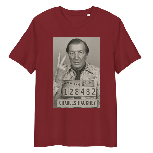 Charlie Haughey Mugshot - Image 7