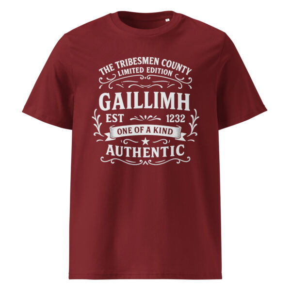 Galway county t-shirt with vintage-style Gaillimh Tribesmen design