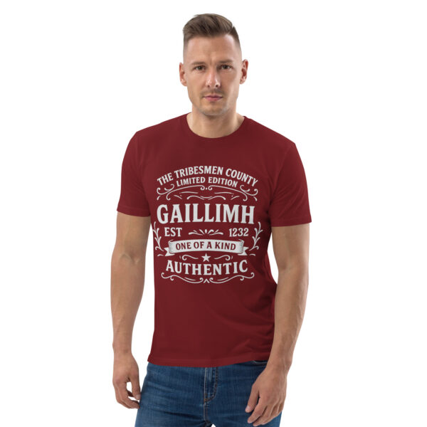 Galway County T-Shirt – The Tribesmen Irish Pride Tee - Image 4