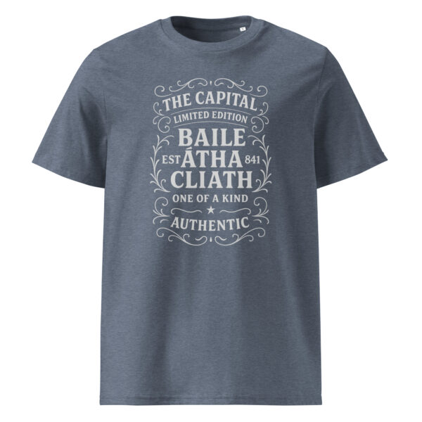 Dublin county t-shirt with Baile Átha Cliath Irish vintage print