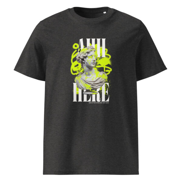 Funny Irish t-shirt – Ahh Here meme style design