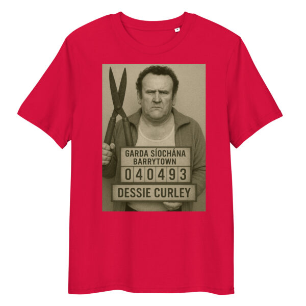Dessie Curley Mugshot - Image 6